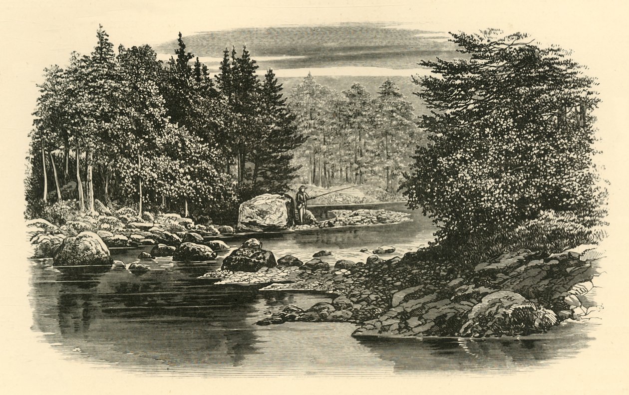 River Scene, Langdale, 1890. alkotó: Unbekannt