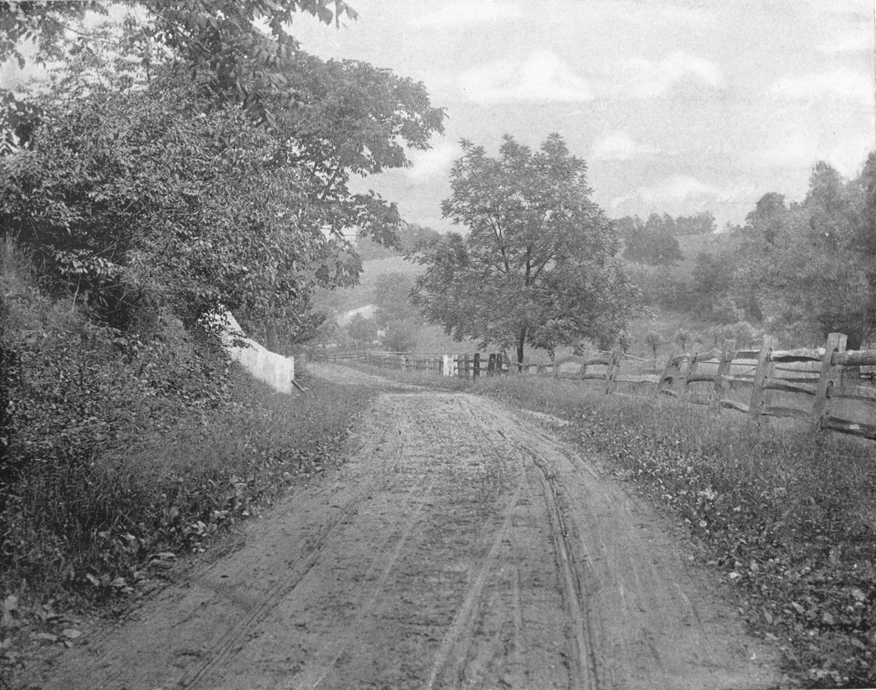 Road Alongside the Brandywine, Pennsylvania, USA, c1900. alkotó: Unbekannt