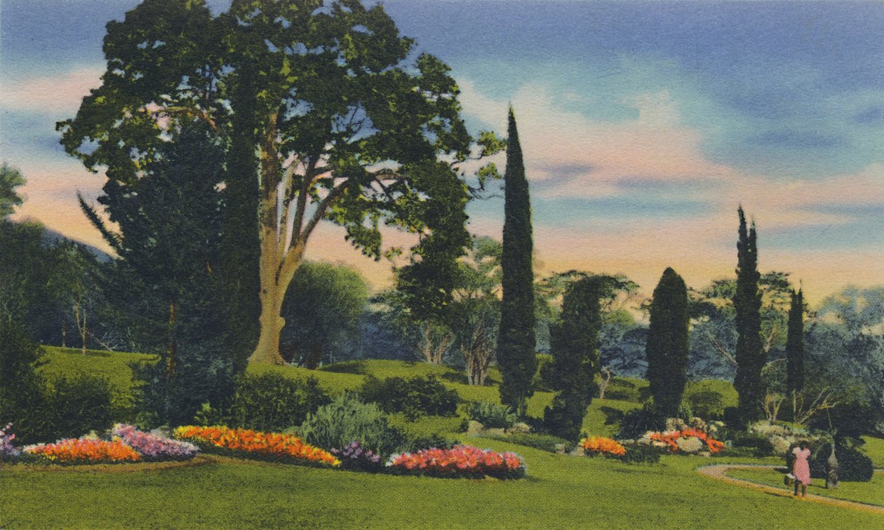 Rock Garden, Trinidad, B.W.I., 1940-es évek. alkotó: Unbekannt