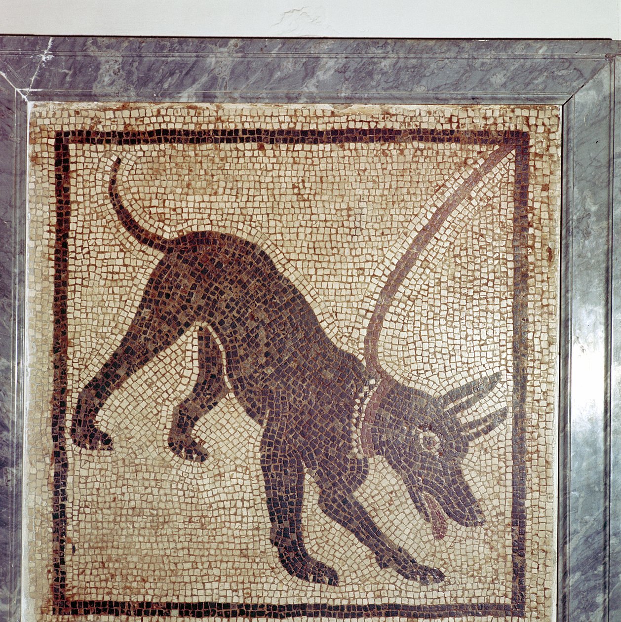 Római mozaik kutya, Cave Canem, Pompeii, Olaszország alkotó: Unbekannt