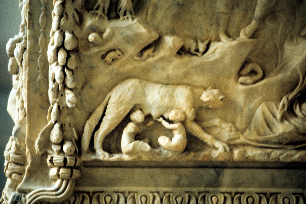 Romulus és Remus szoptatják a nőstényfarkast alkotó: Unbekannt