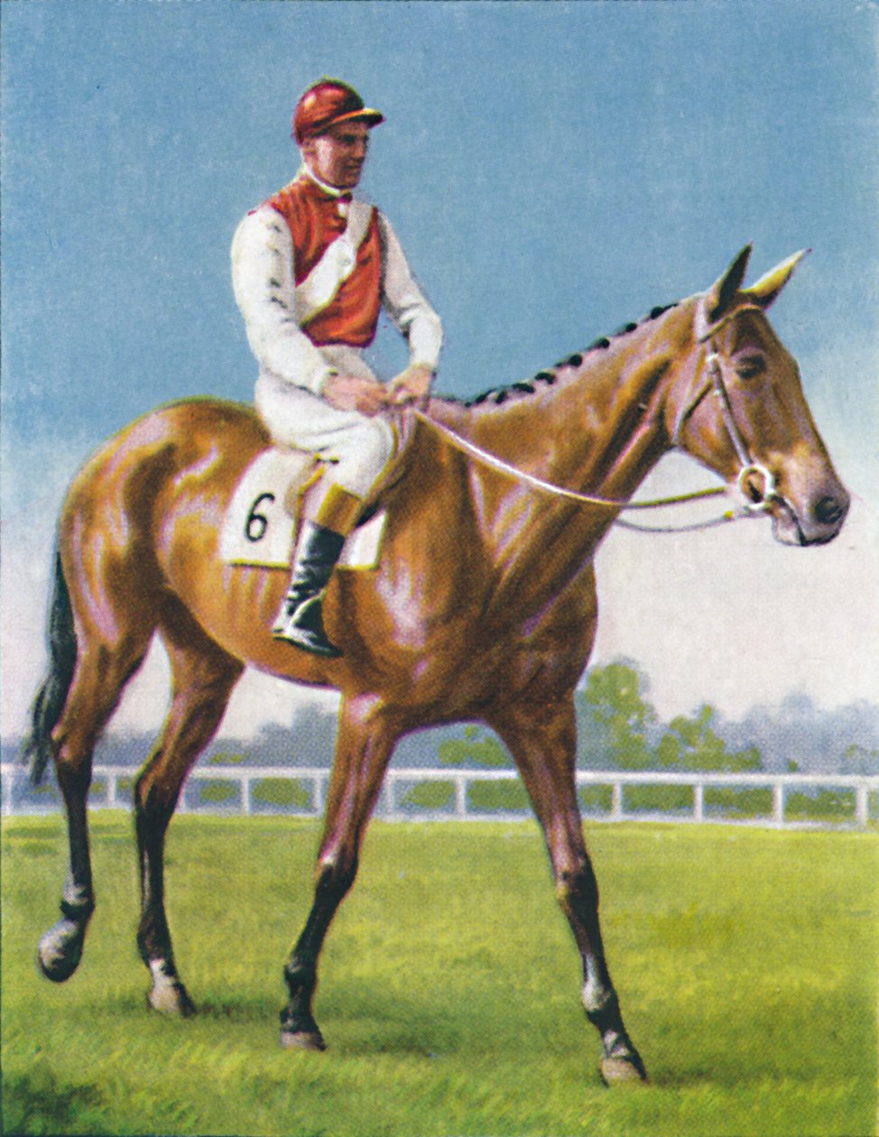Royal Danieli, Jockey: D. Moore, 1939 alkotó: Unbekannt