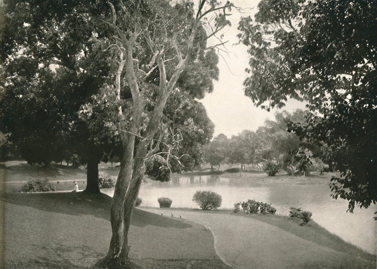 Royal Lakes, Rangoon, 1900. alkotó: Unbekannt