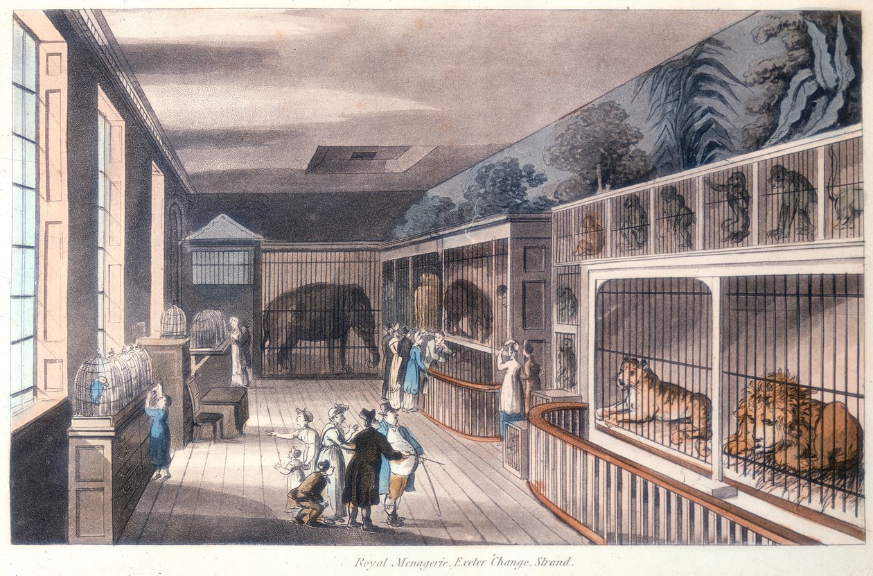 Royal Menagerie, Exeter Change, Strand, London, 1820 alkotó: Unbekannt