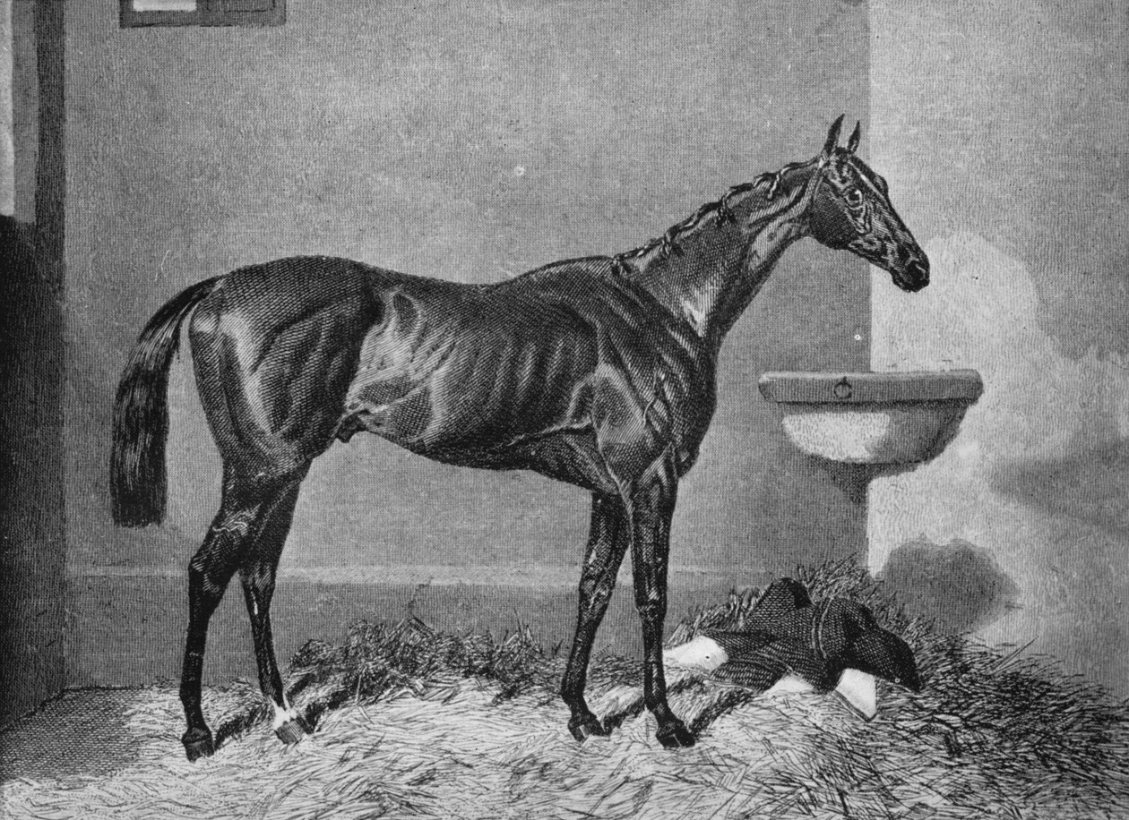 Russborough, 19. század, 1911 alkotó: Unbekannt