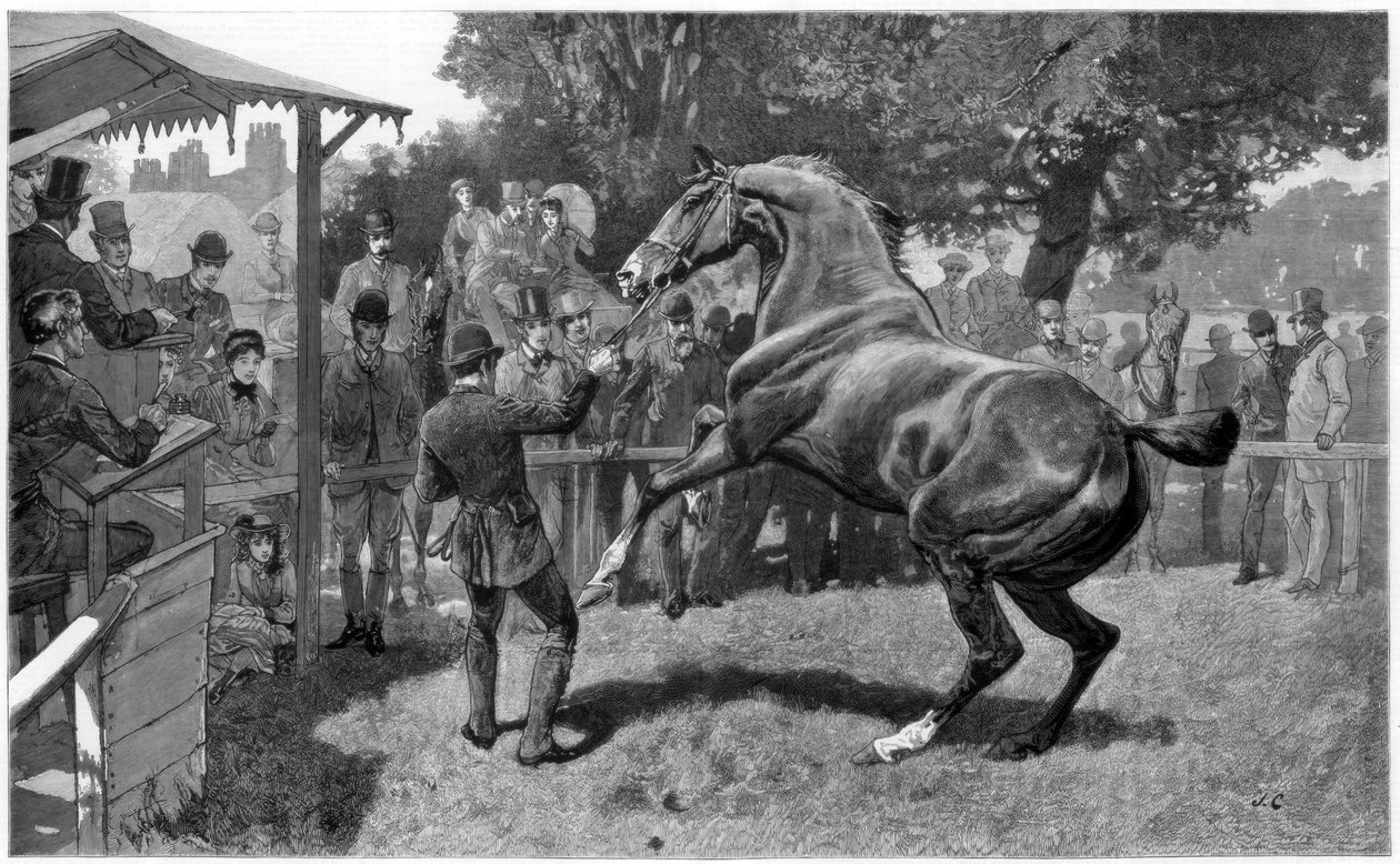 Vadászok eladása Felvetés és kifogás, 1885 alkotó: Unbekannt