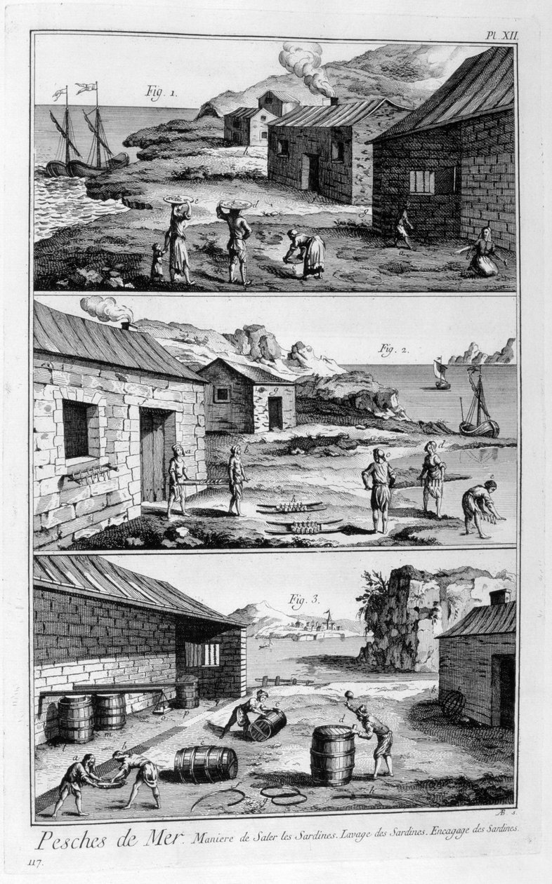 Sózás, mosás, csomagolás szardínia, 1751-1777 alkotó: Unbekannt