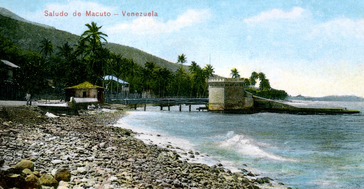 Üdvözlet a venezuelai Macutóból, 1909 alkotó: Unbekannt
