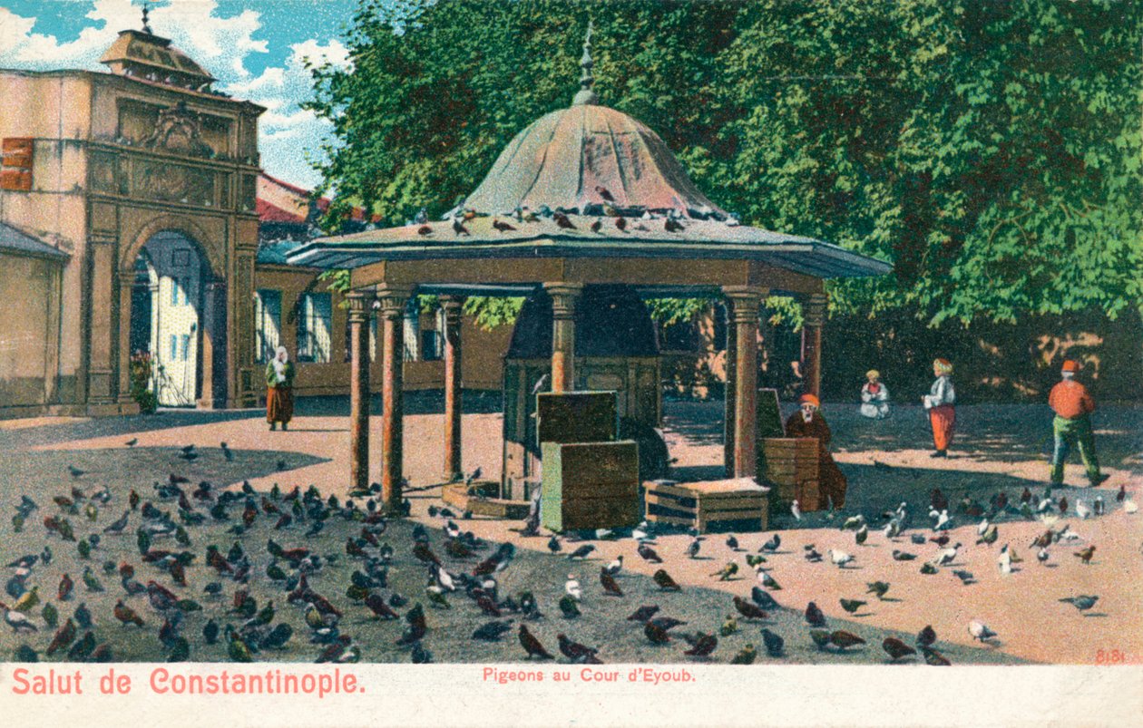 Salut de Constantinople – Galambok az Eyoub udvarában, 1900 alkotó: Unbekannt