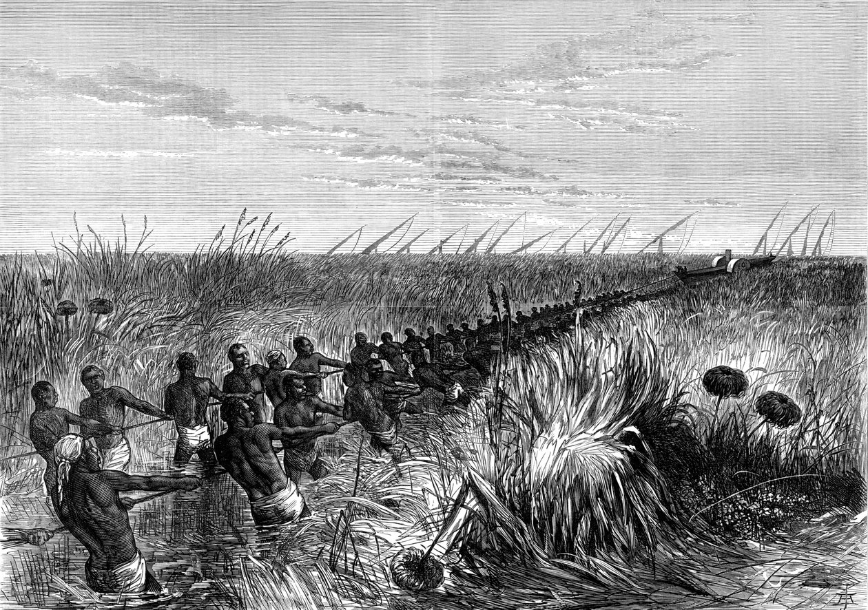 Samuel Bakers csónakja, amelyet a folyón fűtöttek, 1864 1874 alkotó: Unbekannt