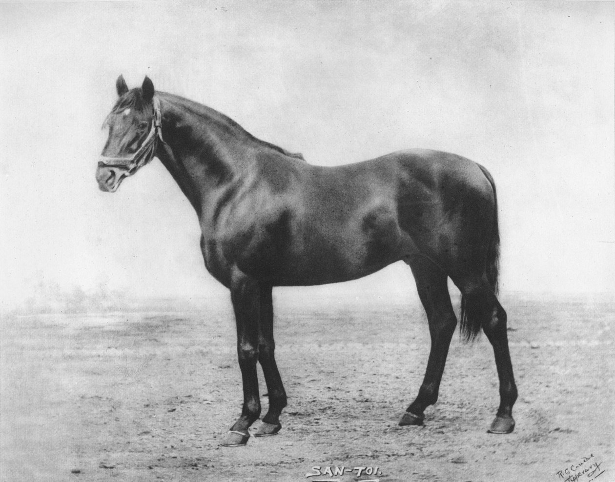 San-Toi, 1911 alkotó: Unbekannt