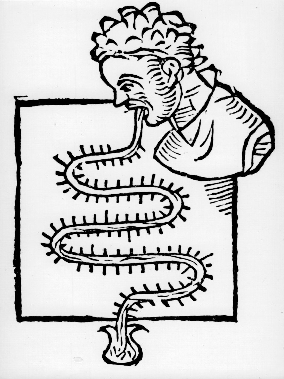 Sanctuary klinikai hőmérő, 1612 alkotó: Unbekannt