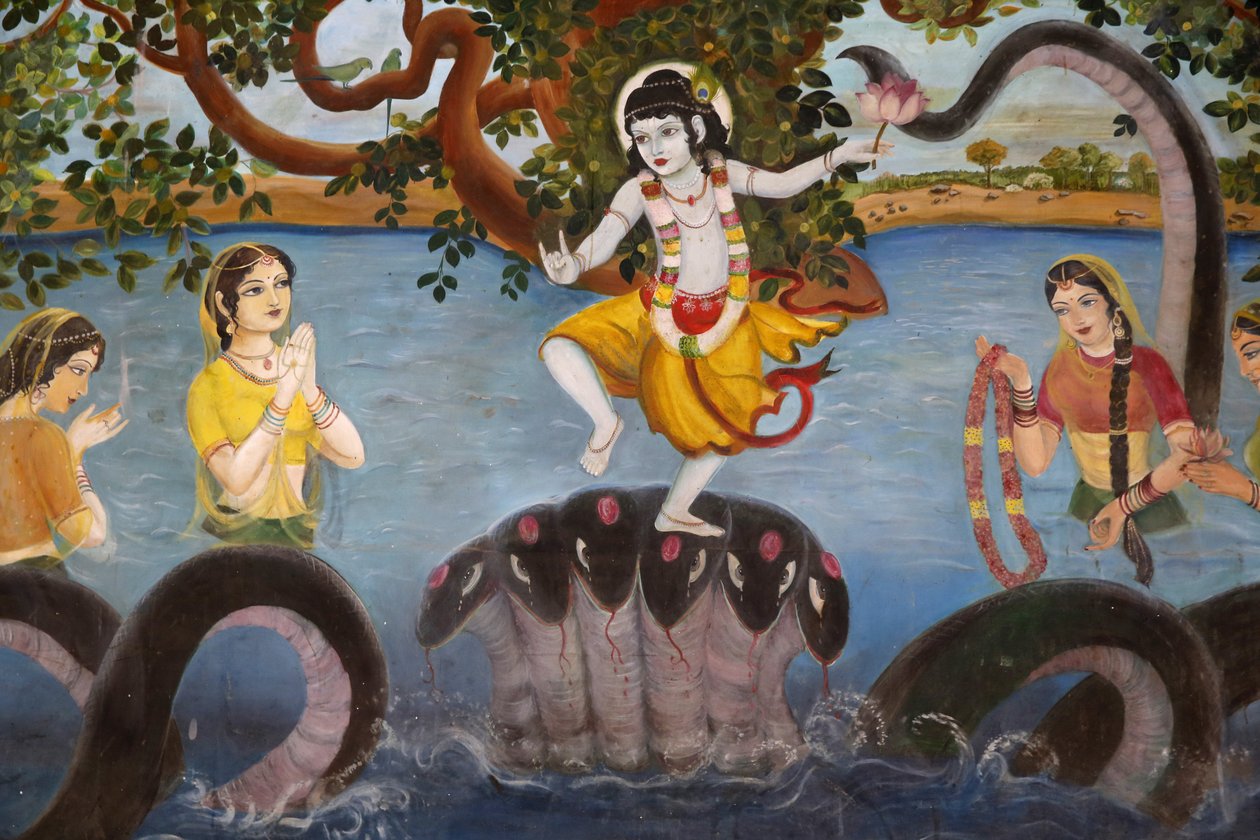 A Food for Life Vrindavan által működtetett Sandipani Muni iskola rászoruló lányok számára. Krisna isten élete. India alkotó: Unbekannt