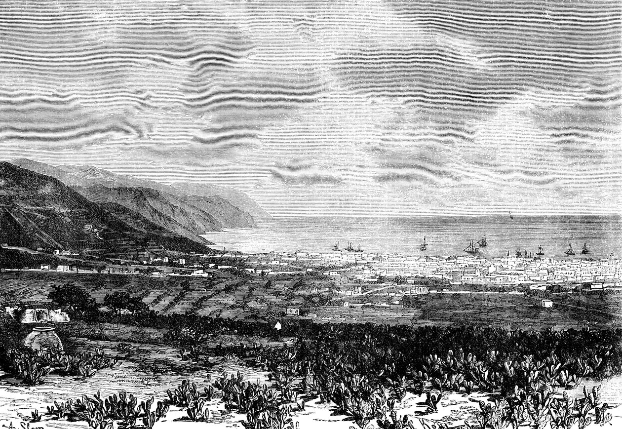 Santa Cruz, Tenerife, Spanyolország, 1895 alkotó: Unbekannt
