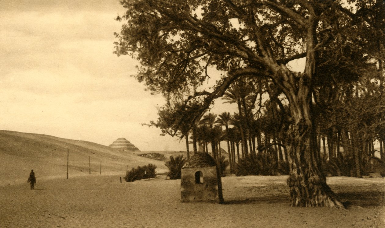 Saqqara – A lépcsős piramis a Sycomore felől nézve, c1918-c1939. alkotó: Unbekannt