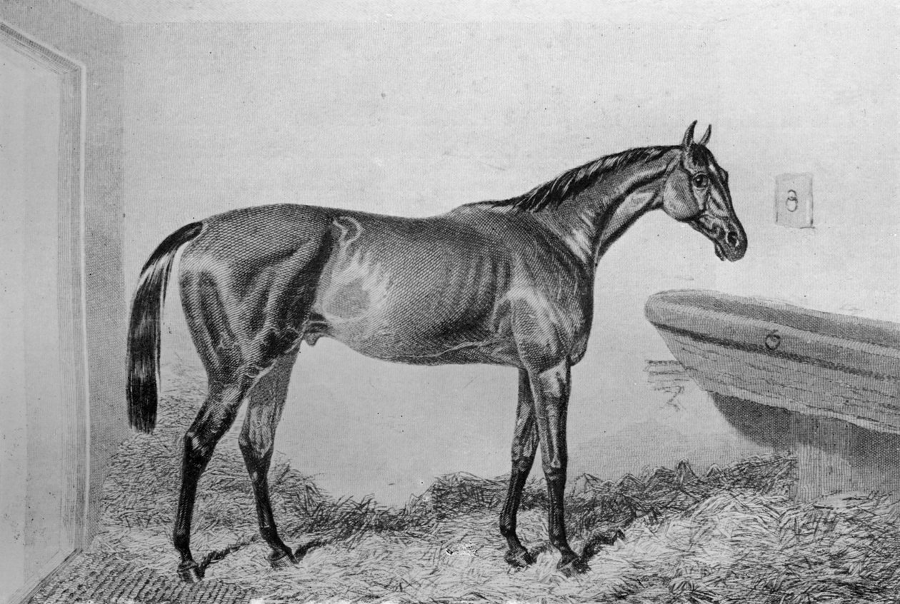 Saucebox, 1840-1880, 1911 alkotó: Unbekannt