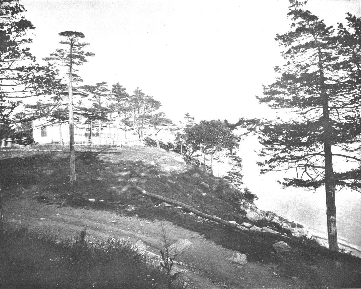 Savin Rock, New Haven, Connecticut, USA, c1900. alkotó: Unbekannt