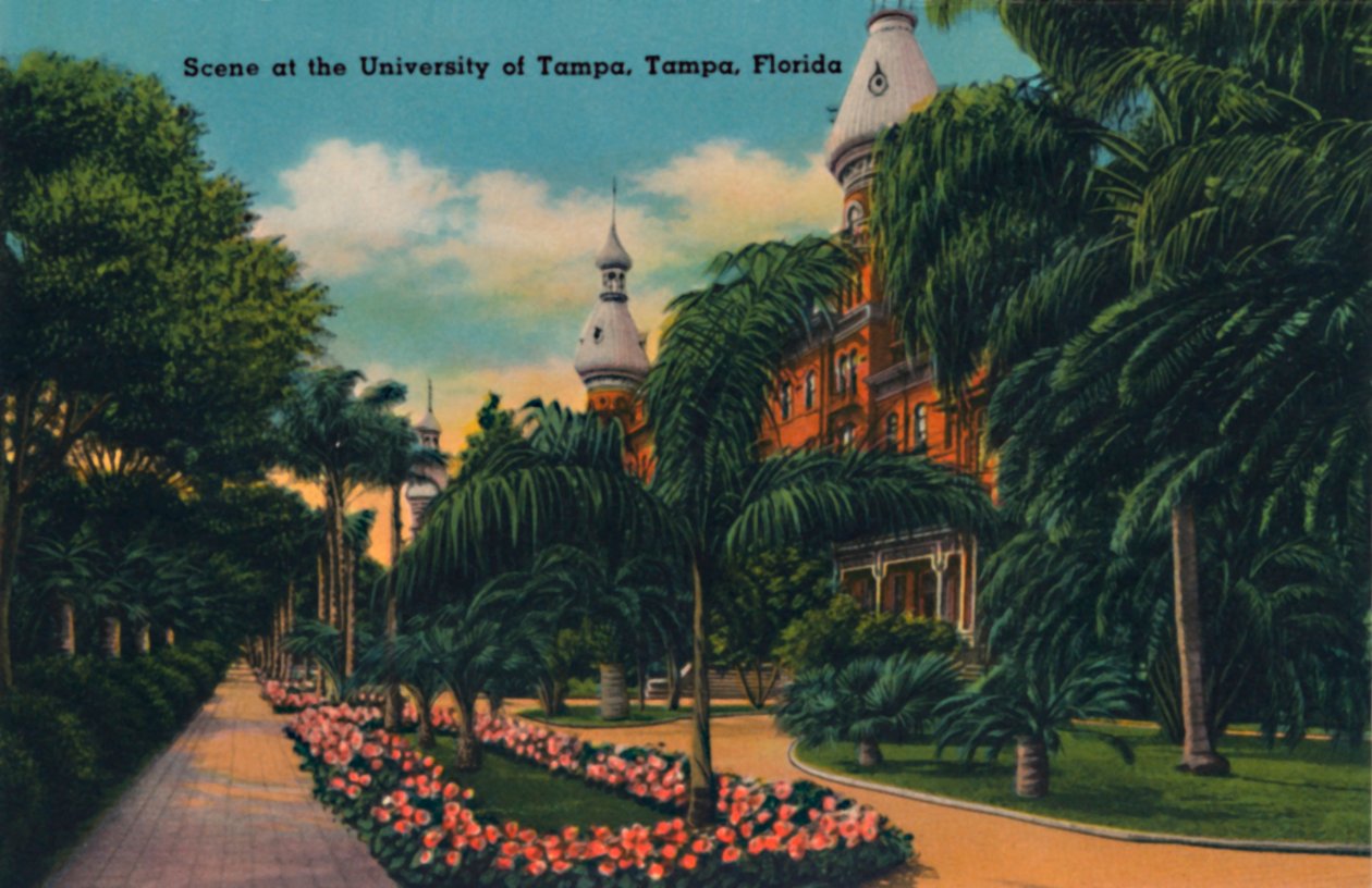 Jelenet a Tampai Egyetemen, Tampa, Florida, 1940-es évek alkotó: Unbekannt