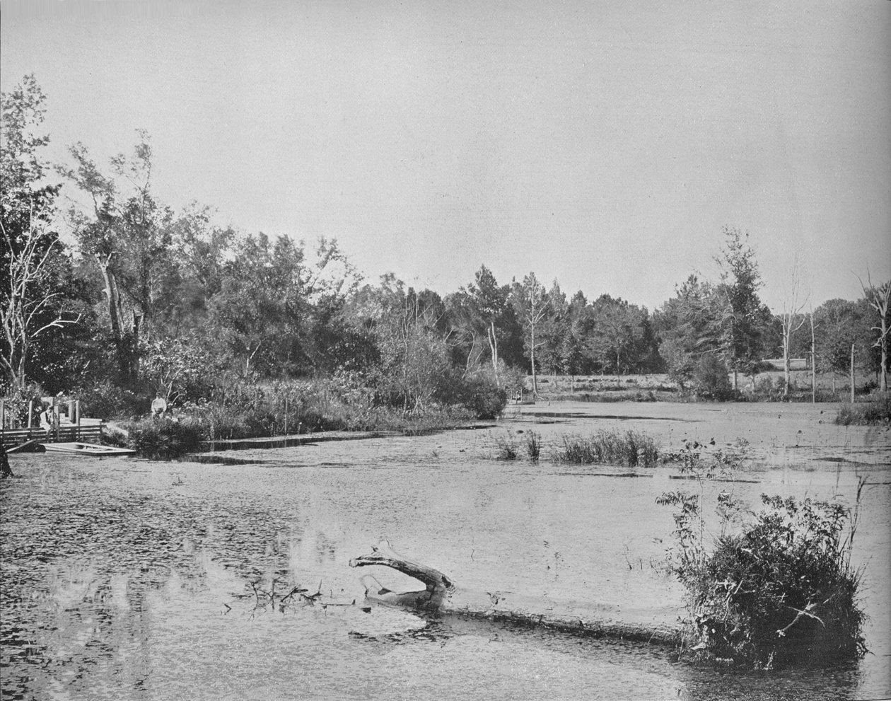 Jelenet Mississippiben, 1897. alkotó: Unbekannt