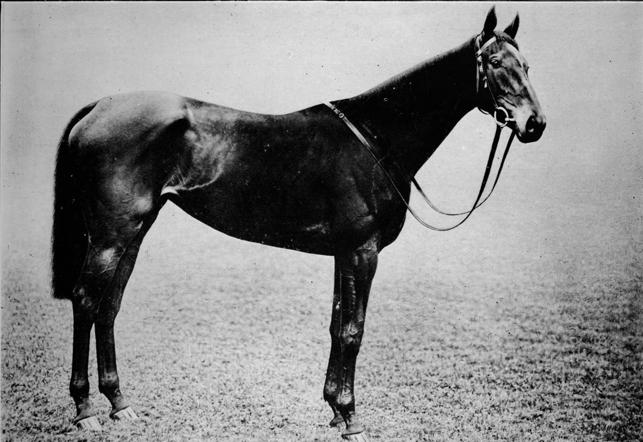 Jogar, 1899-1926, 1911 alkotó: Unbekannt