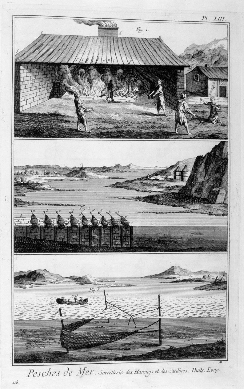 Tengeri halászat, hering és szardínia, 1751-1777 alkotó: Unbekannt