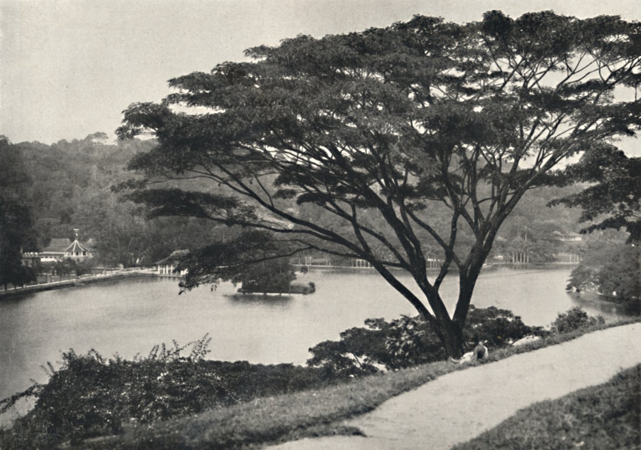 Tó, a Szent Fog Reed temploma és könyvtár Kandyban, a Victoria Drive-tól keletre nézve, 192 alkotó: Unbekannt