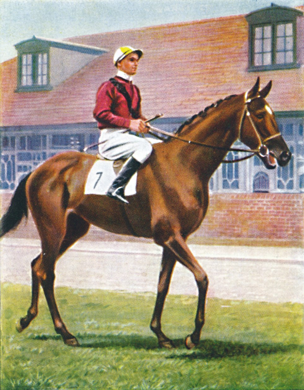 Senor, Jockey: J. Crouch, 1939 alkotó: Unbekannt