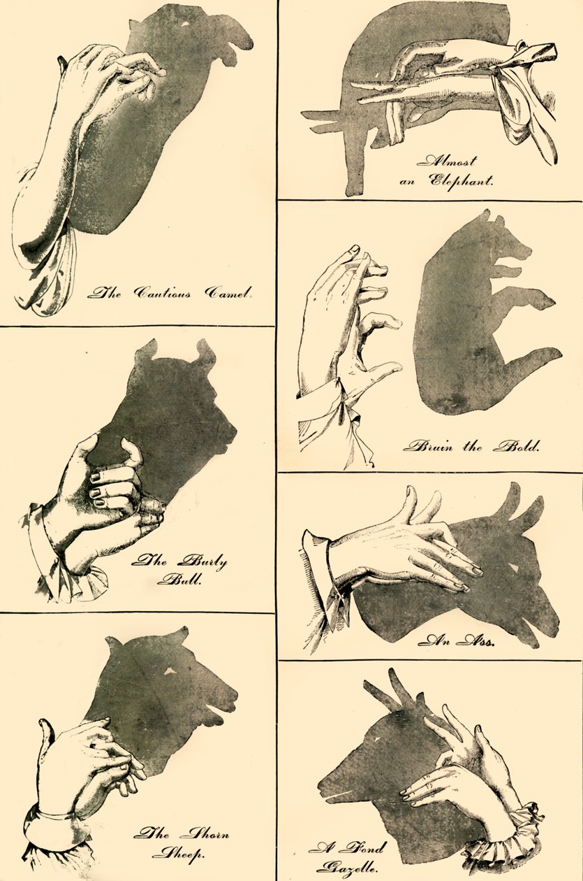 Árnyképek és sziluettek, 1883. alkotó: Unbekannt
