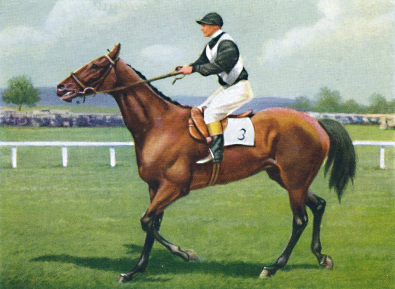 Shalfleet, Jockey: R. Perryman, 1939 alkotó: Unbekannt