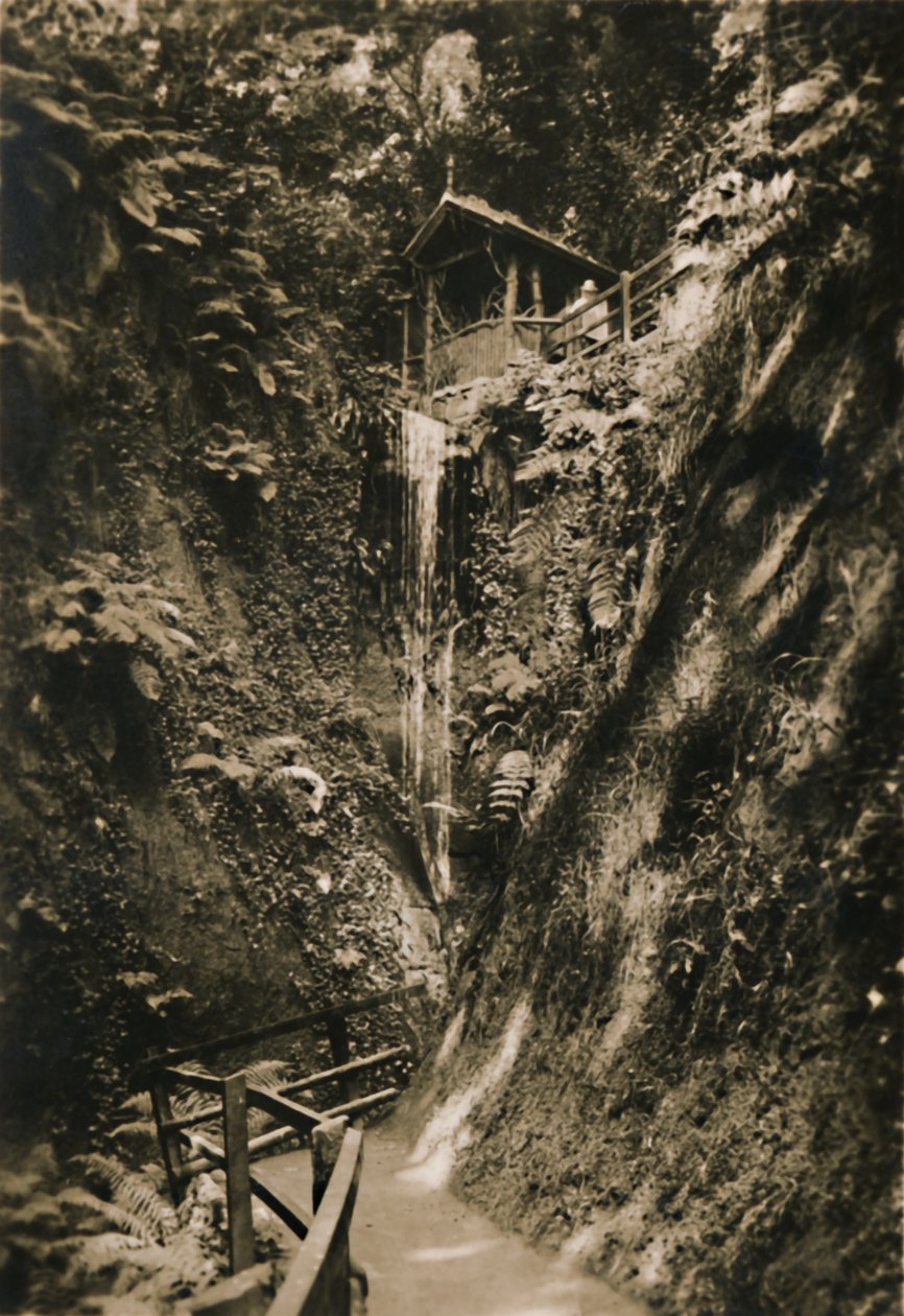 Shanklin Chine, I. W., 1920. alkotó: Unbekannt