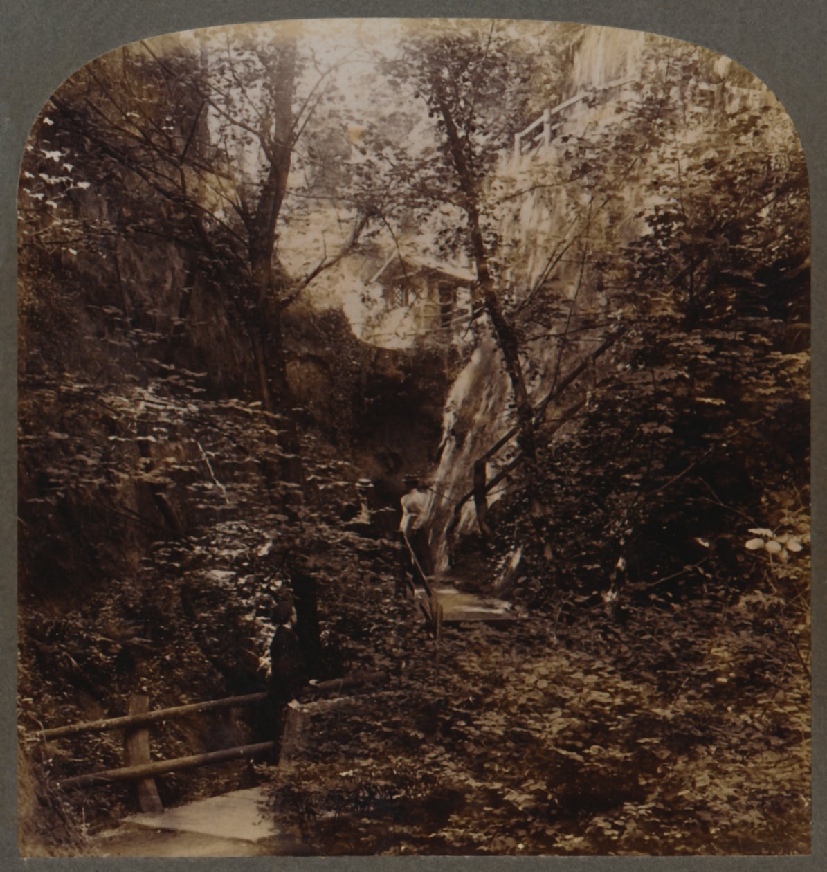 A világhírű Shanklin Chine, Wight-sziget, Anglia, 1910. alkotó: Unbekannt