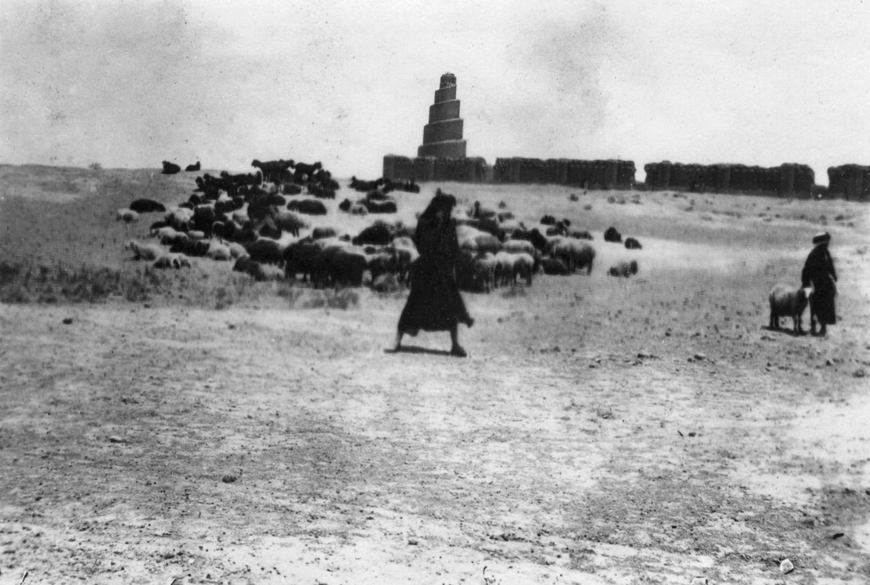 A mezopotámiai Szamarrán kívül legelő juhok, 1918 alkotó: Unbekannt