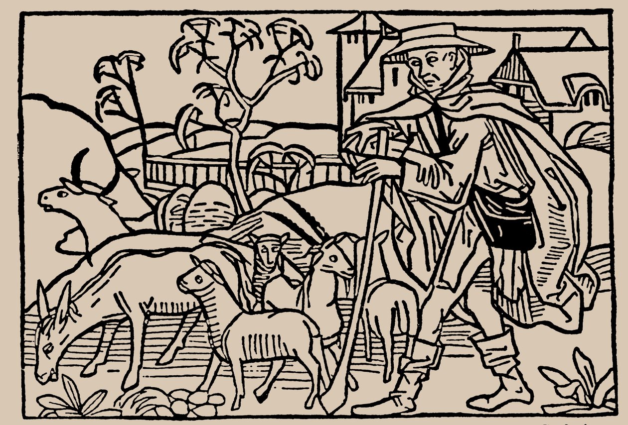 Pásztor. Rodericus Zamorensis: Az emberi élet tükréből, 1479 alkotó: Unbekannt