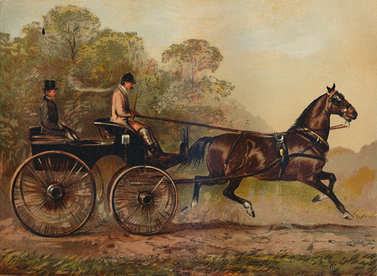 Egy hám Phaeton Horse Columbine. Charles Baynes Esq. tulajdona, 1872, c1879 alkotó: Unbekannt