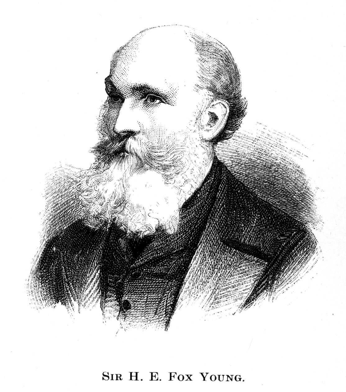Sir Henry Edward Fox Young, 1886 alkotó: Unbekannt