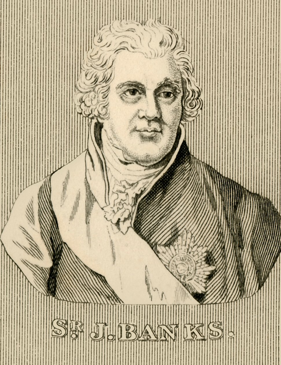 Sir J. Banks, 1743-1820, 1830. alkotó: Unbekannt