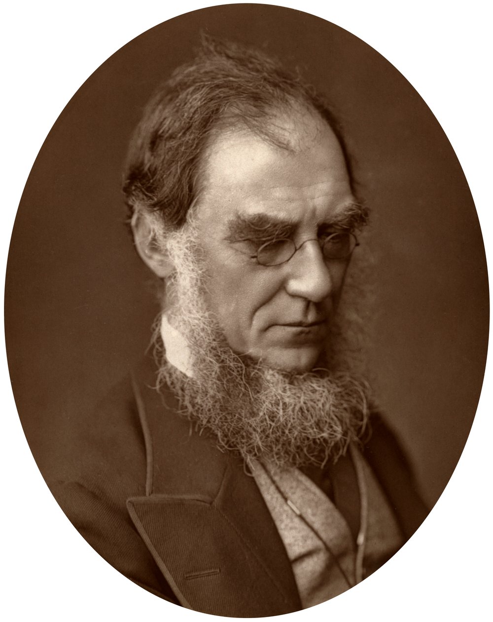 Sir Joseph Dalton Hooker, a kew-i Royal Gardens igazgatója, 1881 alkotó: Unbekannt