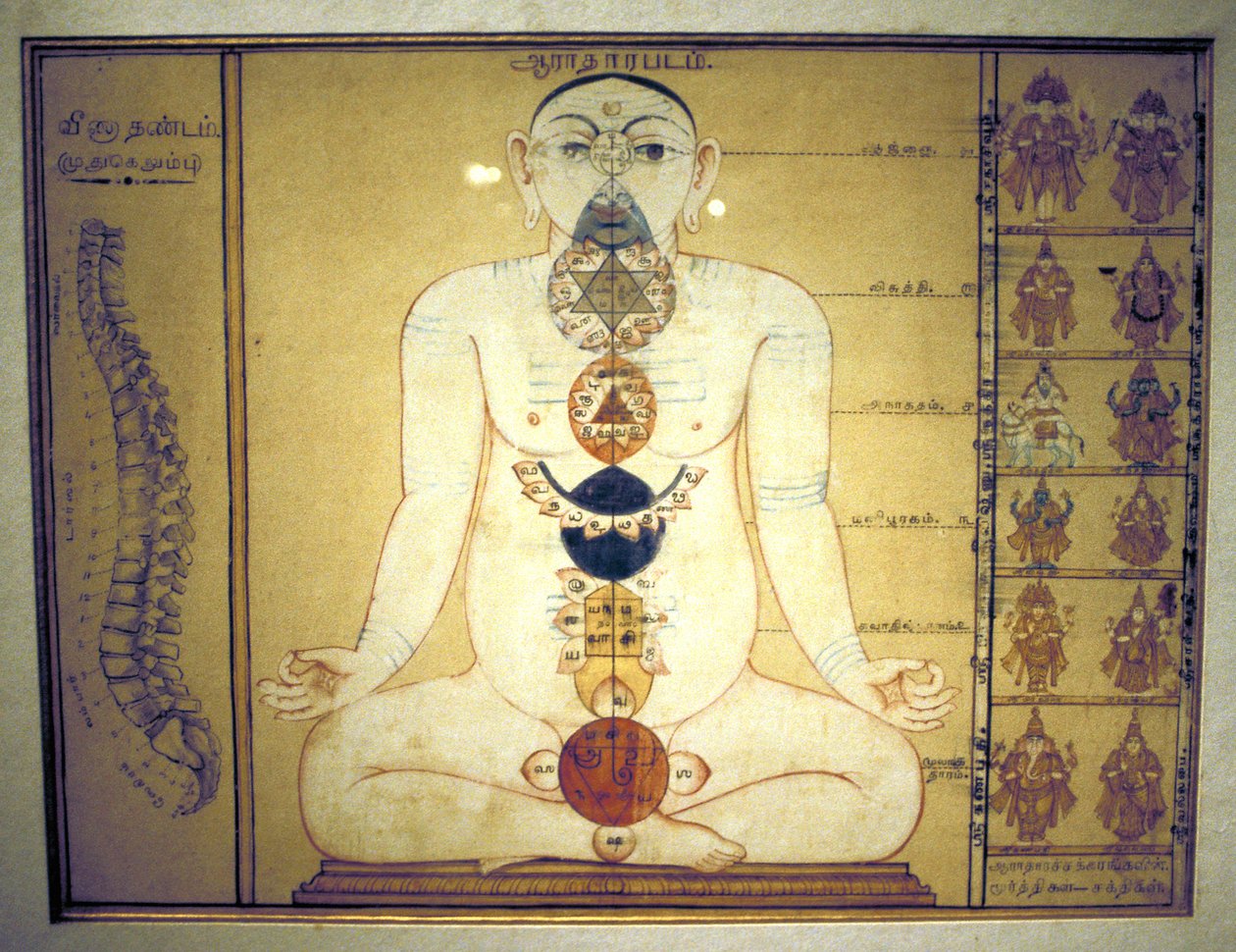 Hat csakra, amely az emberi test plexusait képviseli, Tanjore, Tamil Nadu, c1850 alkotó: Unbekannt