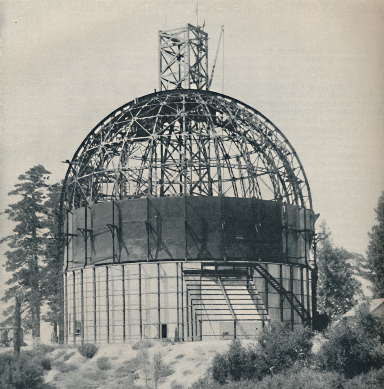 Csontváz kupola csillagászati mamut elhelyezésére, 1935 alkotó: Unbekannt