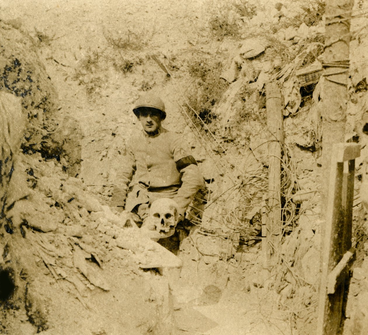 Az árkokban elásva talált koponya, c1914-c1918 alkotó: Unbekannt