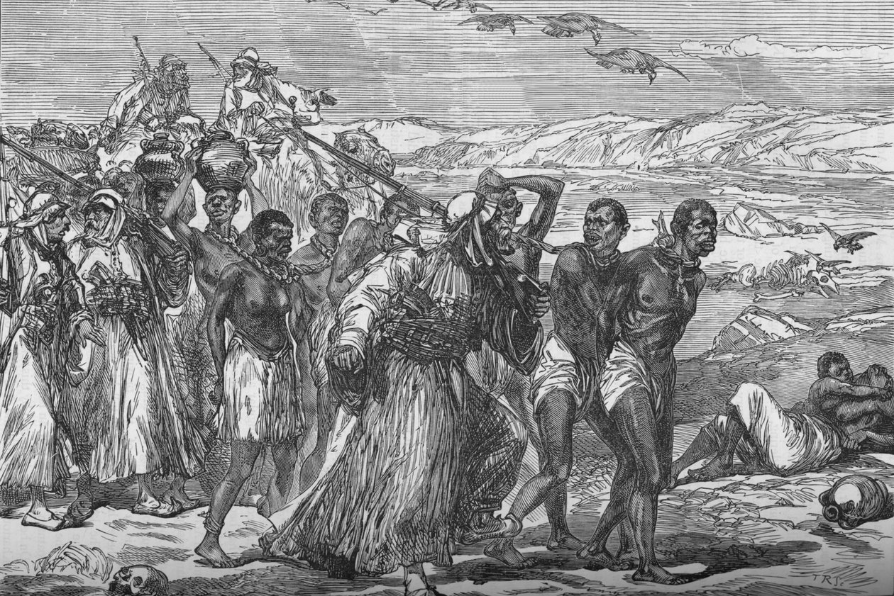 Slave Gang Crossing The African Desert, 1881-85 alkotó: Unbekannt