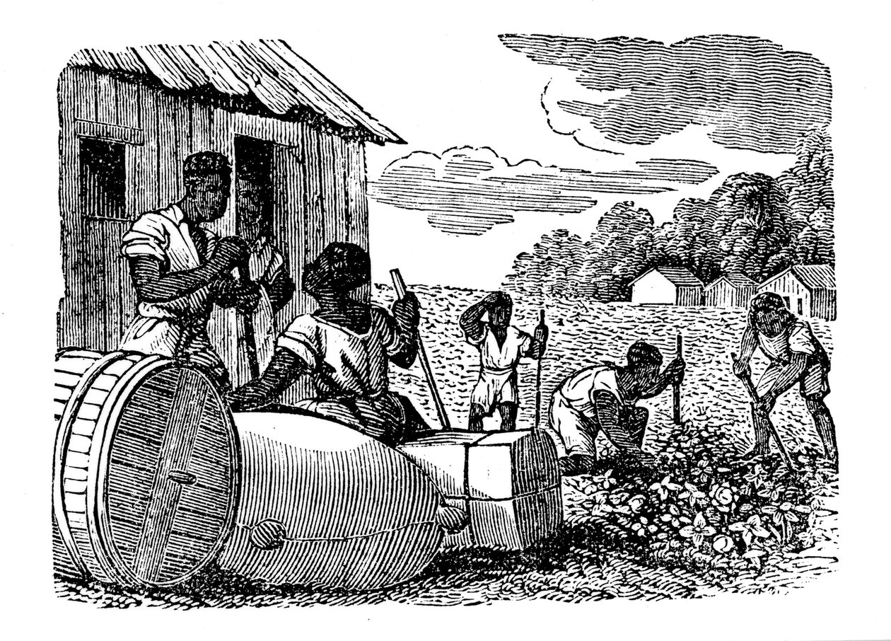 Dohányültetvényen dolgozó rabszolgák, 1833 alkotó: Unbekannt
