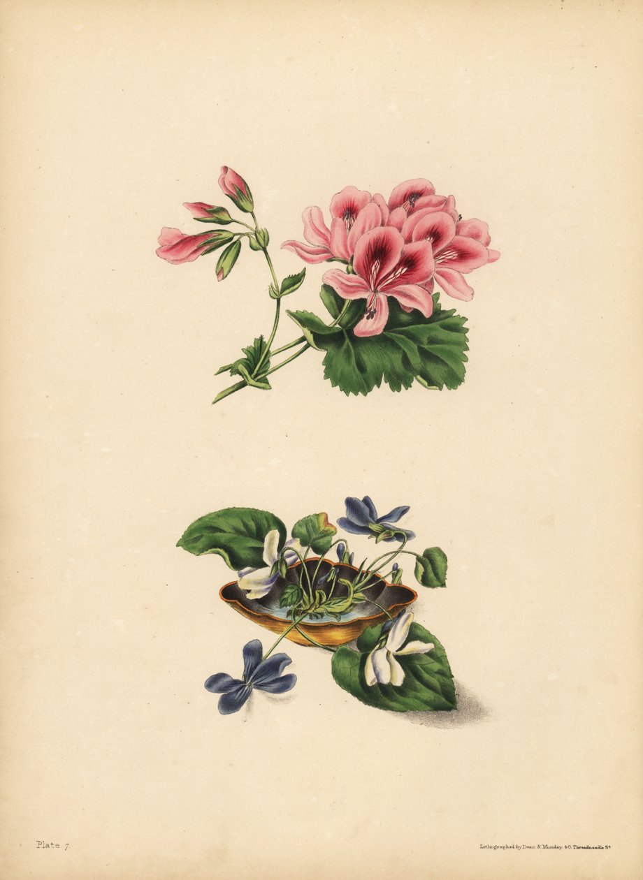 Smith