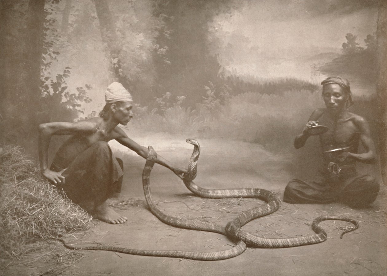 Kígyóbűvölők Hamadryads Kuy Cobrákkal, 1900. alkotó: Unbekannt