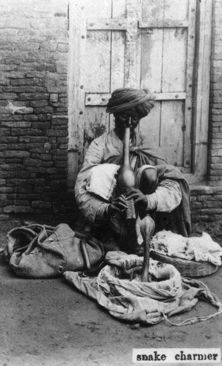 Kígyóbűvölő, India, XX. század alkotó: Unbekannt