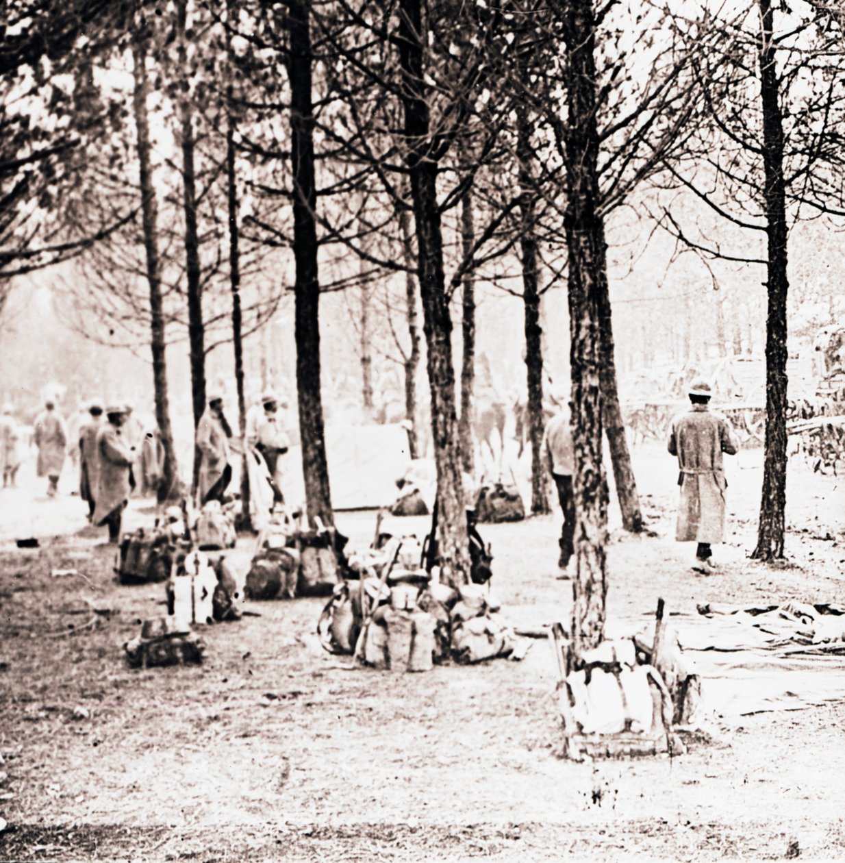 Katonák és falkák az erdőben, c1914-c1918 alkotó: Unbekannt