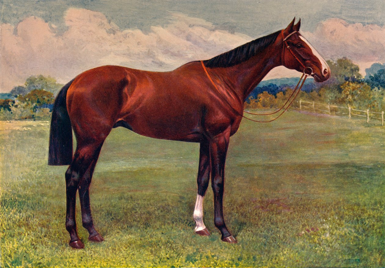 Fodormenta, c1905 c1910 alkotó: Unbekannt