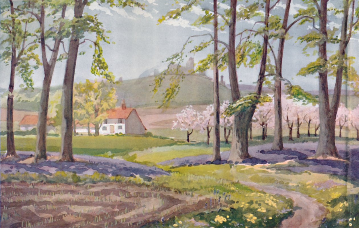 Tavasz – A Nap által kiváltott fizikai, kémiai és biológiai változások az év során, 1935. alkotó: Unbekannt