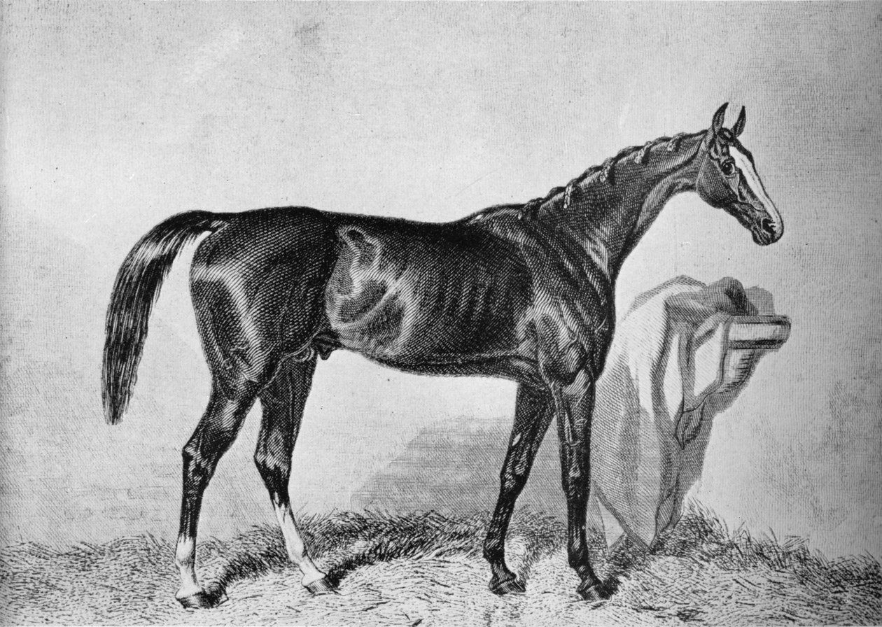 St. Albans, 19. század, 1911 alkotó: Unbekannt