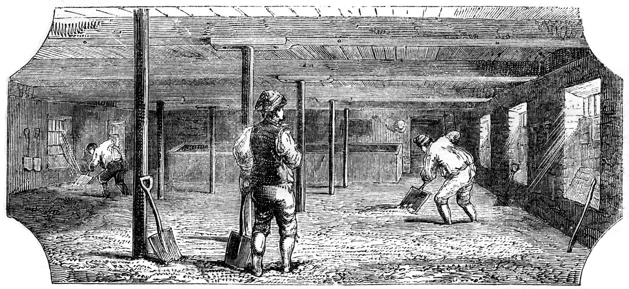 Áztató-, heverő- és padlómaláta, 1886 alkotó: Unbekannt